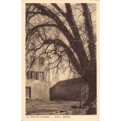 Rare collectable postcards of FRANCE. Vintage Postcards of FRANCE