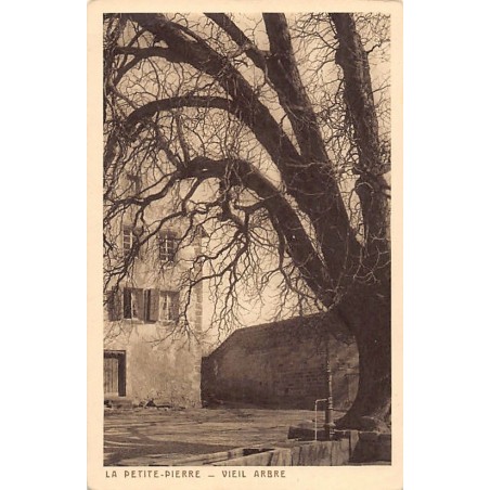 Rare collectable postcards of FRANCE. Vintage Postcards of FRANCE