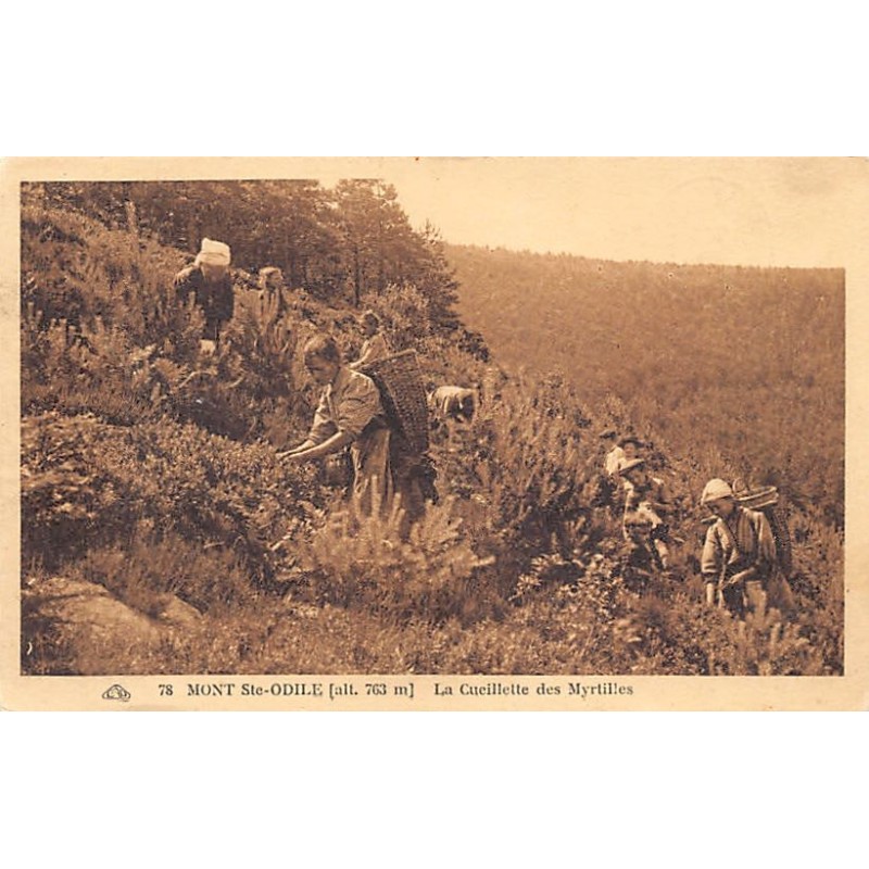 Rare collectable postcards of FRANCE. Vintage Postcards of FRANCE