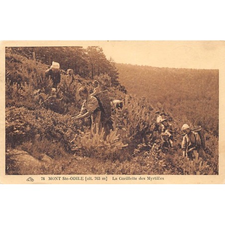 Rare collectable postcards of FRANCE. Vintage Postcards of FRANCE