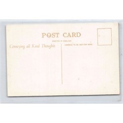 Rare collectable postcards of IRELAND. Vintage Postcards of IRELAND