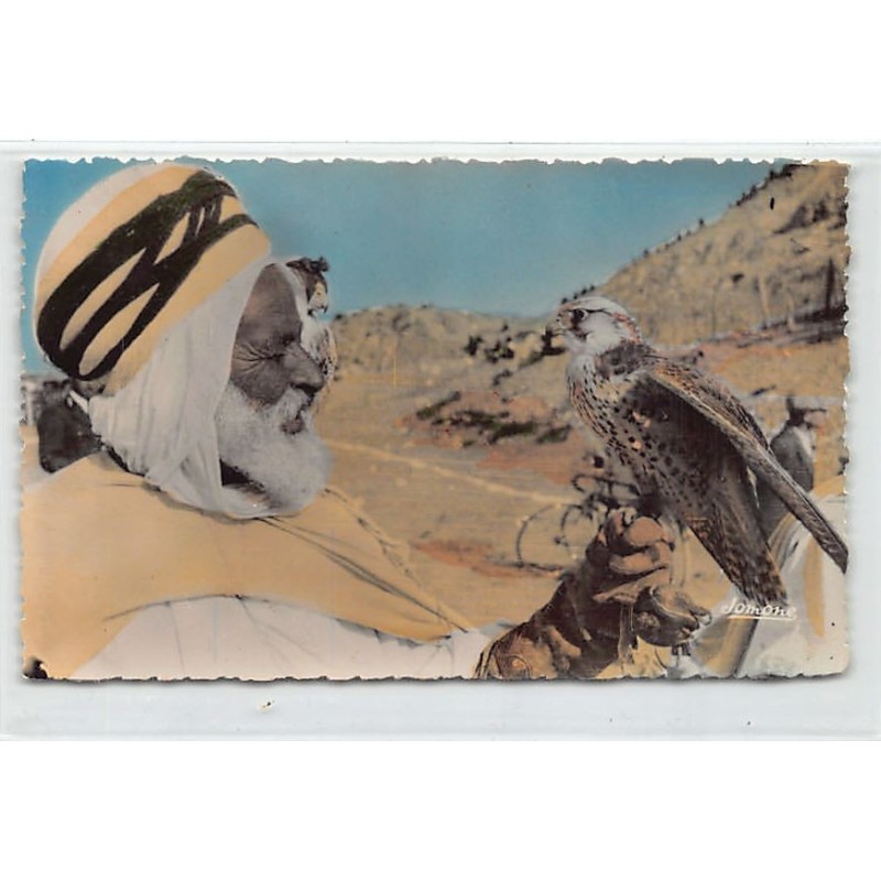 Rare collectable postcards of Algeria. Vintage Postcards of Algeria