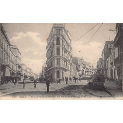 Rare collectable postcards of Algeria. Vintage Postcards of Algeria