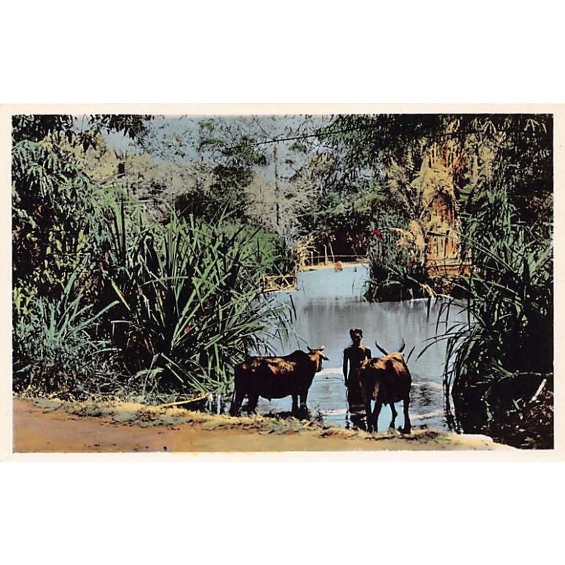 Rare collectable postcards of Cambodia. Vintage Postcards of Cambodia