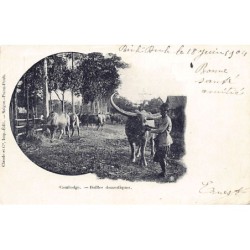 Rare collectable postcards of Cambodia. Vintage Postcards of Cambodia