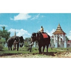 Rare collectable postcards of Cambodia. Vintage Postcards of Cambodia