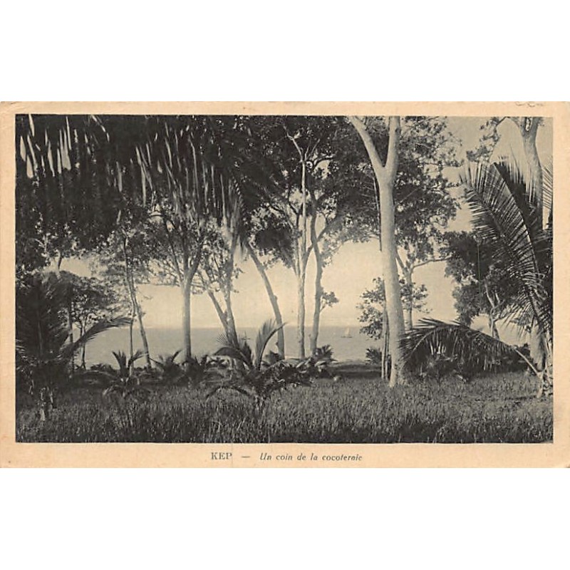 Rare collectable postcards of Cambodia. Vintage Postcards of Cambodia