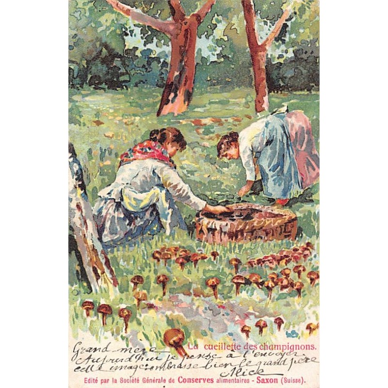 Rare collectable postcards of ITALIA Italy. Vintage Postcards of ITALIA Italy