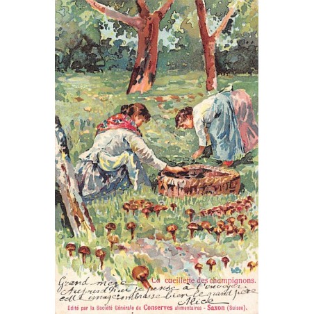 Rare collectable postcards of ITALIA Italy. Vintage Postcards of ITALIA Italy