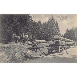Rare collectable postcards of Germany. Vintage Postcards of Germany