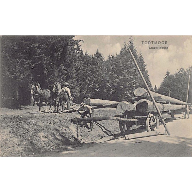 Rare collectable postcards of Germany. Vintage Postcards of Germany