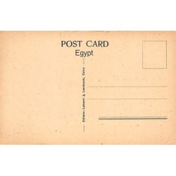 Rare collectable postcards of Egypt. Vintage Postcards of Egypt