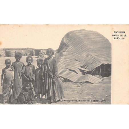 Rare collectable postcards of Egypt. Vintage Postcards of Egypt