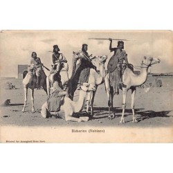 Rare collectable postcards of Egypt. Vintage Postcards of Egypt