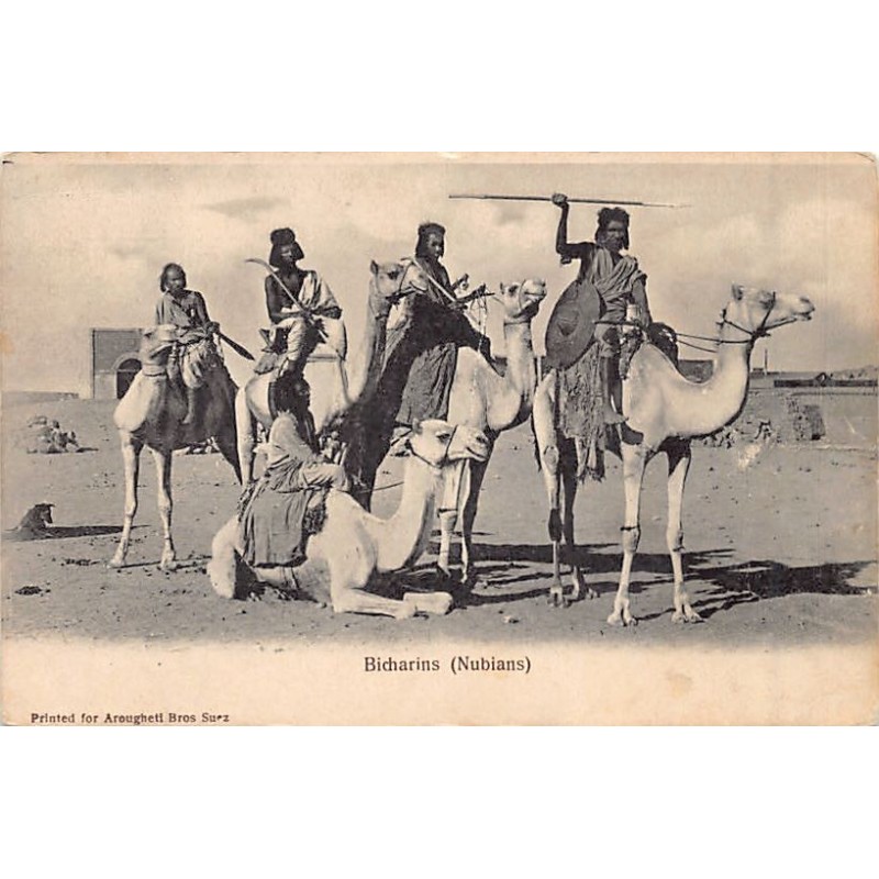 Rare collectable postcards of Egypt. Vintage Postcards of Egypt