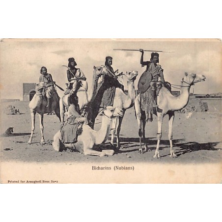 Rare collectable postcards of Egypt. Vintage Postcards of Egypt