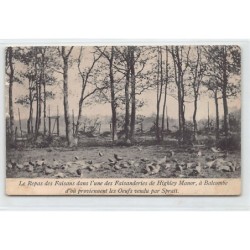 Rare collectable postcards of United Kingdom - England. Vintage Postcards of United Kingdom - England