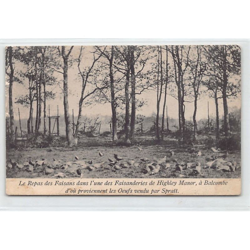 Rare collectable postcards of United Kingdom - England. Vintage Postcards of United Kingdom - England