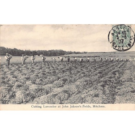 Rare collectable postcards of United Kingdom - England. Vintage Postcards of United Kingdom - England