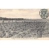 Rare collectable postcards of United Kingdom - England. Vintage Postcards of United Kingdom - England