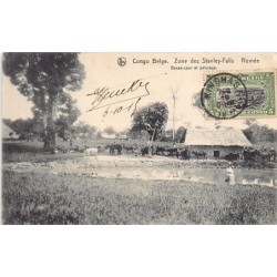 Rare collectable postcards of CONGO KINSHASA. Vintage Postcards of CONGO KINSHASA