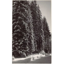 Rare collectable postcards of France. Vintage Postcards of France