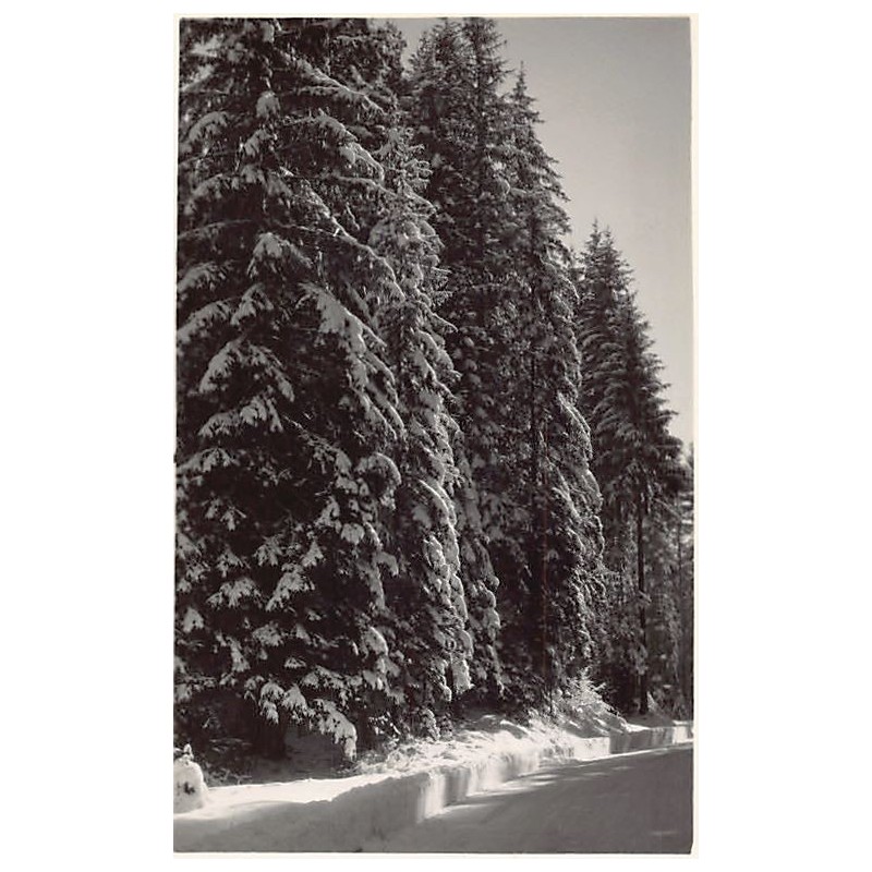 Rare collectable postcards of France. Vintage Postcards of France