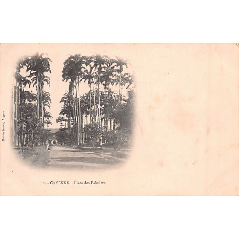 Rare collectable postcards of French Guiana. Vintage Postcards of French Guiana