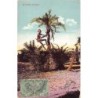 Rare collectable postcards of India. Vintage Postcards of India