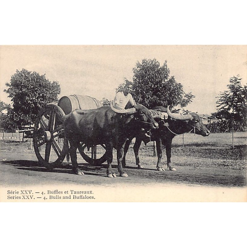 Rare collectable postcards of India. Vintage Postcards of India