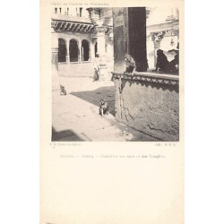 Rare collectable postcards of India. Vintage Postcards of India