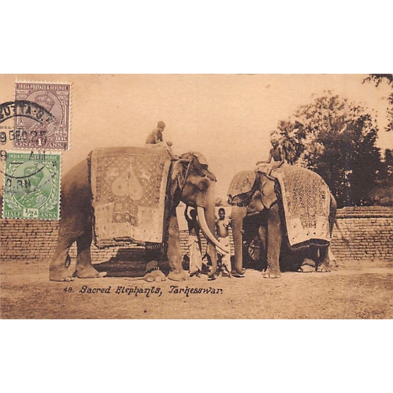 Rare collectable postcards of India. Vintage Postcards of India