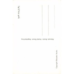 Rare collectable postcards of Iraq. Vintage Postcards of Iraq