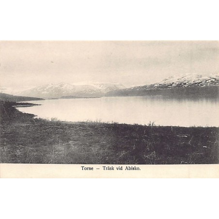 Rare collectable postcards of Iceland. Vintage Postcards of Iceland