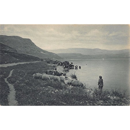 Rare collectable postcards of Israel / Palestine. Vintage Postcards of Israel / Palestine