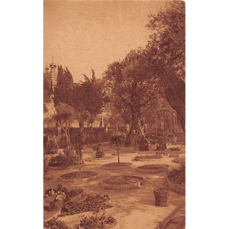 Rare collectable postcards of Israel / Palestine. Vintage Postcards of Israel / Palestine