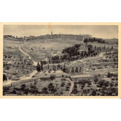 Rare collectable postcards of Israel / Palestine. Vintage Postcards of Israel / Palestine