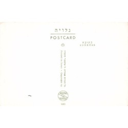 Rare collectable postcards of Israel / Palestine. Vintage Postcards of Israel / Palestine