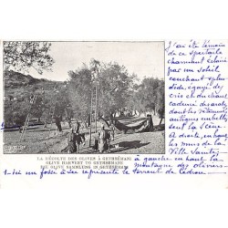 Rare collectable postcards of Israel / Palestine. Vintage Postcards of Israel / Palestine