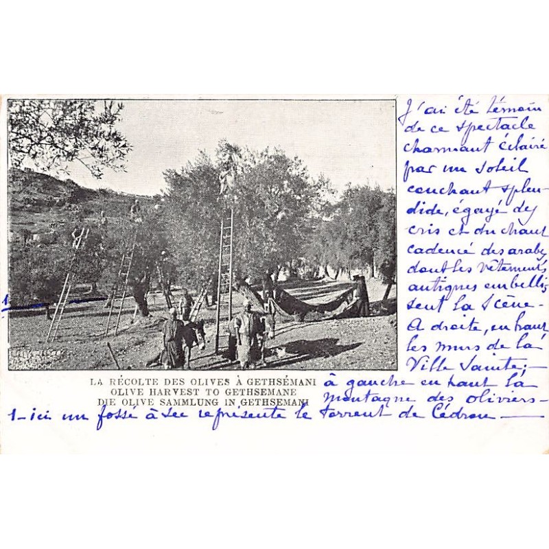 Rare collectable postcards of Israel / Palestine. Vintage Postcards of Israel / Palestine