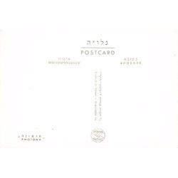 Rare collectable postcards of Israel / Palestine. Vintage Postcards of Israel / Palestine