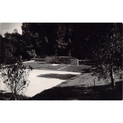 Rare collectable postcards of Israel / Palestine. Vintage Postcards of Israel / Palestine