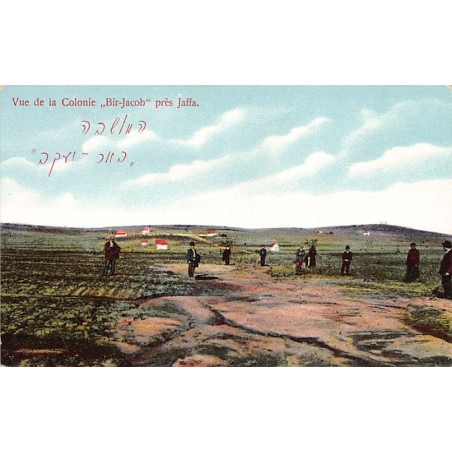 Rare collectable postcards of Israel / Palestine. Vintage Postcards of Israel / Palestine