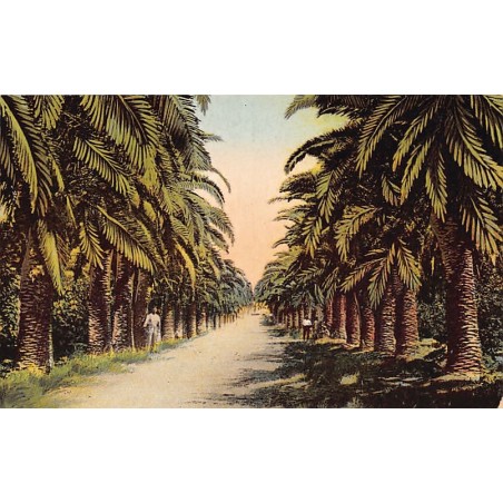 Rare collectable postcards of Israel / Palestine. Vintage Postcards of Israel / Palestine