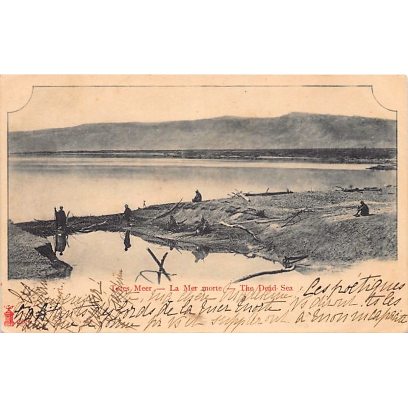 Rare collectable postcards of Israel / Palestine. Vintage Postcards of Israel / Palestine