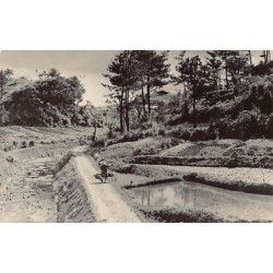 Rare collectable postcards of Japan. Vintage Postcards of Japan