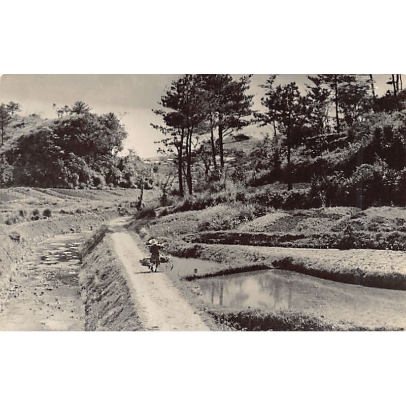 Rare collectable postcards of Japan. Vintage Postcards of Japan