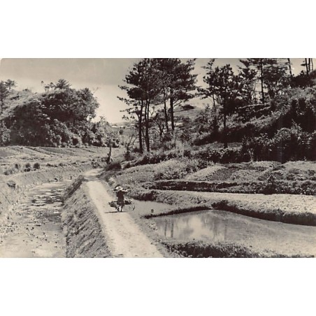 Rare collectable postcards of Japan. Vintage Postcards of Japan