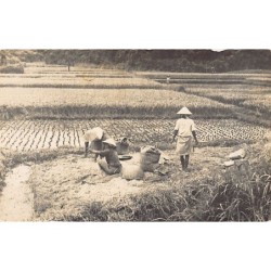 Rare collectable postcards of Japan. Vintage Postcards of Japan