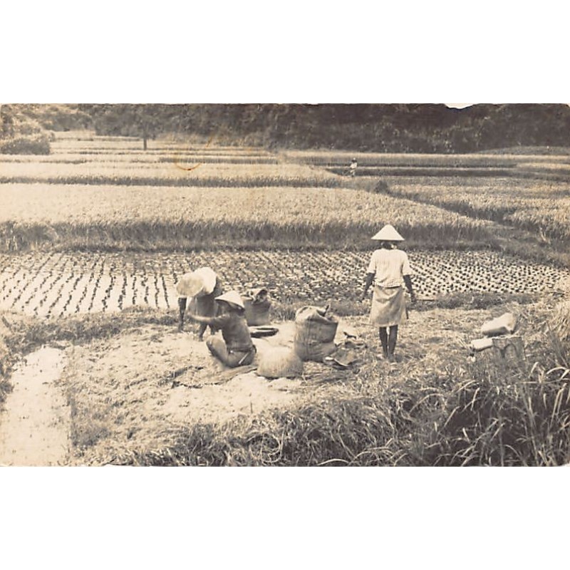 Rare collectable postcards of Japan. Vintage Postcards of Japan